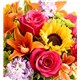191167_Close_up
